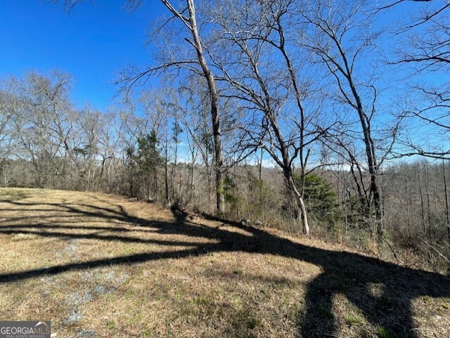 6070 Riggins Mill Road Dry Branch GA 31020