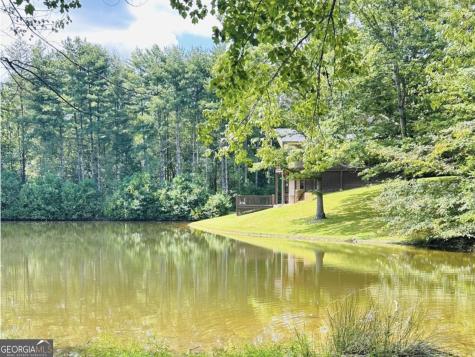 292 High Country Circle Morganton GA 30560