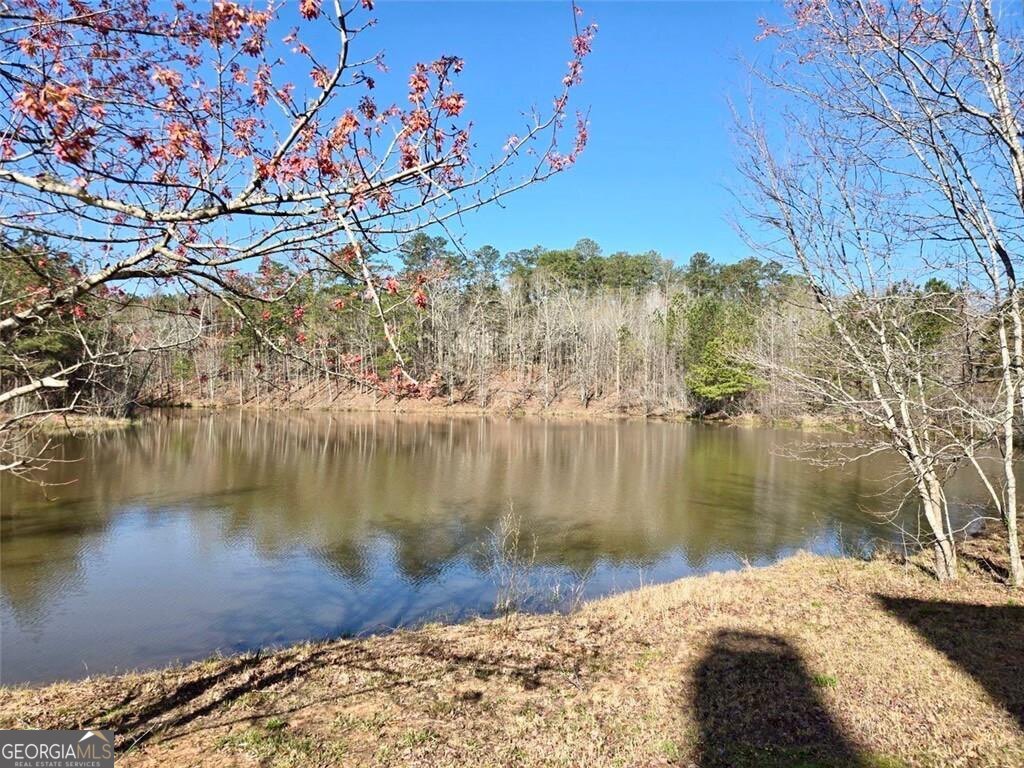 6509 Lily Trail Fairburn GA 30213