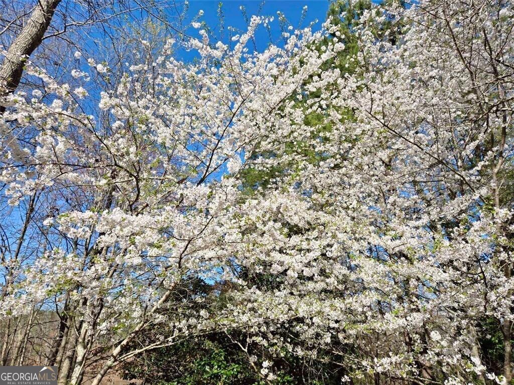 6509 Lily Trail Fairburn GA 30213