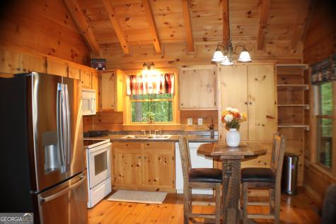 90 Pine Tree Drive Blue Ridge GA 30513