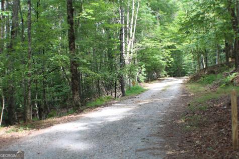 90 Pine Tree Drive Blue Ridge GA 30513