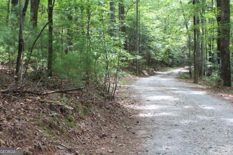 90 Pine Tree Drive Blue Ridge GA 30513