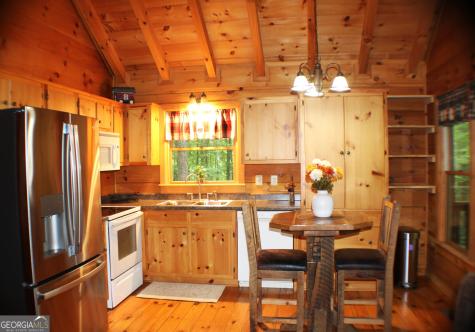 90 Pine Tree Drive Blue Ridge GA 30513