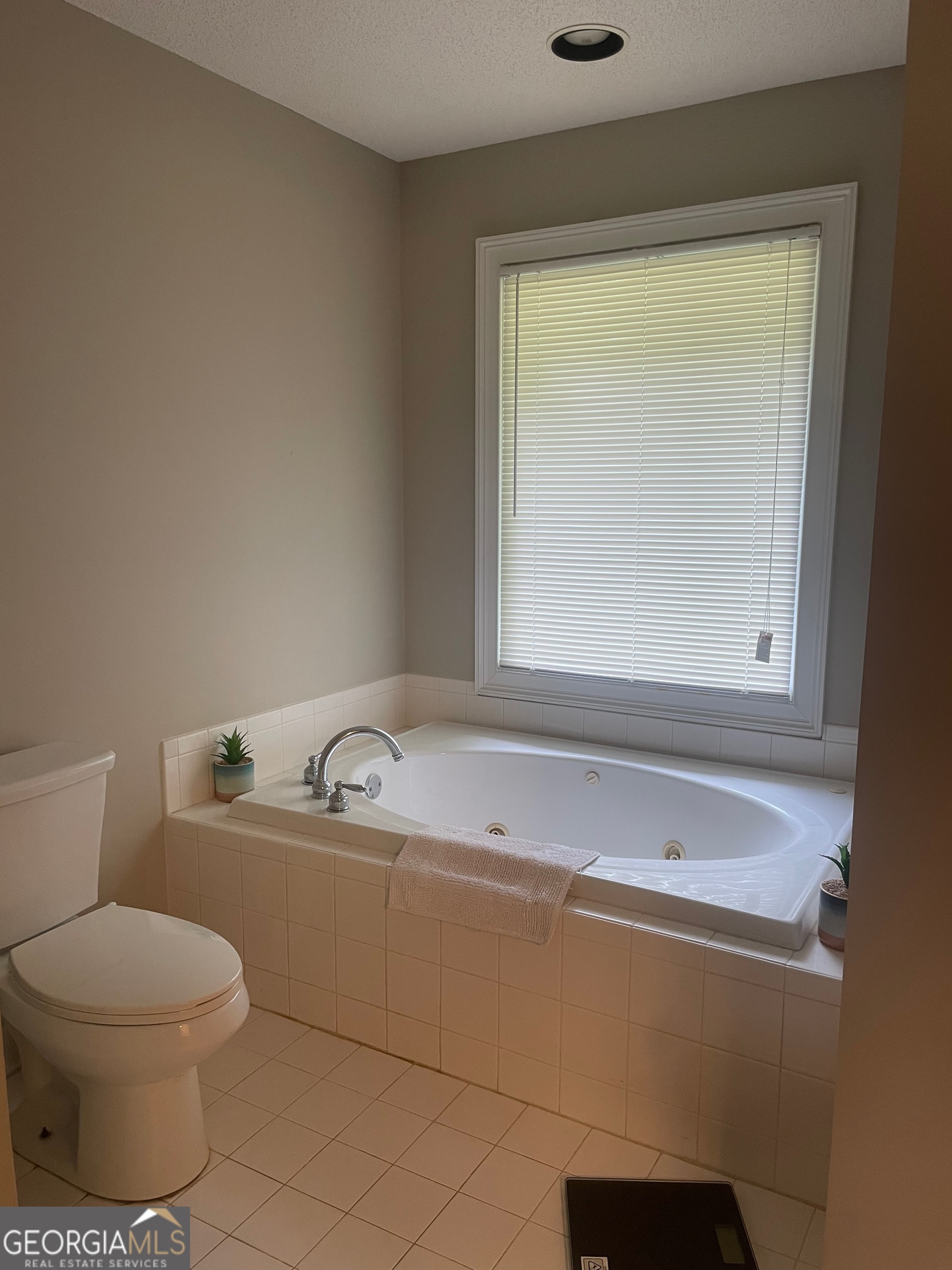 170 Thistledown Place Mount Airy GA 30563