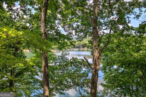 166 Douglas Fir Drive Waleska GA 30183