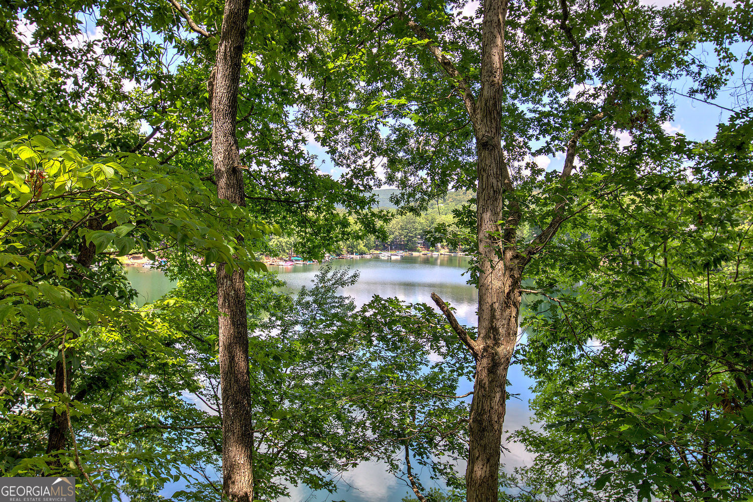 166 Douglas Fir Drive Waleska GA 30183