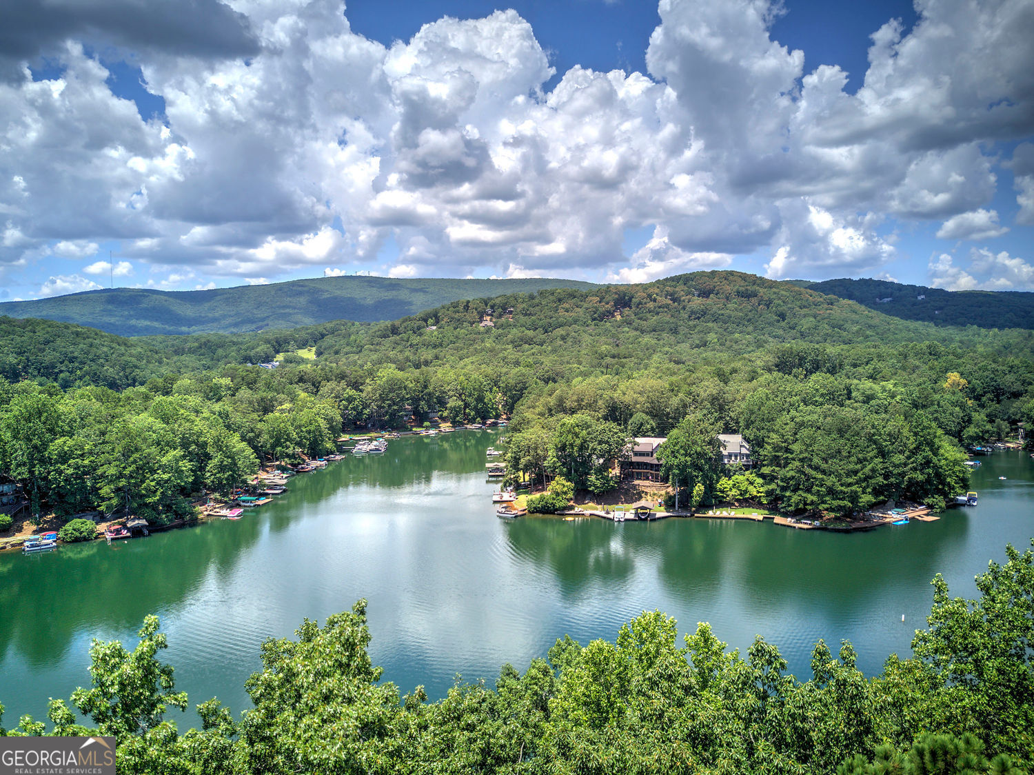 166 Douglas Fir Drive Waleska GA 30183
