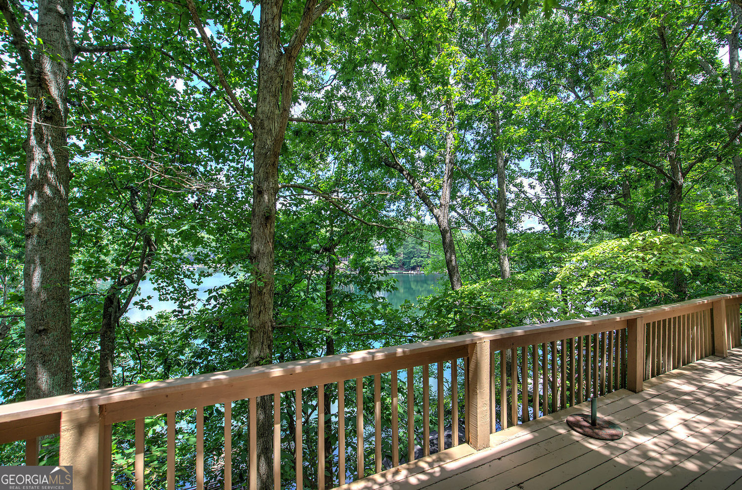 166 Douglas Fir Drive Waleska GA 30183