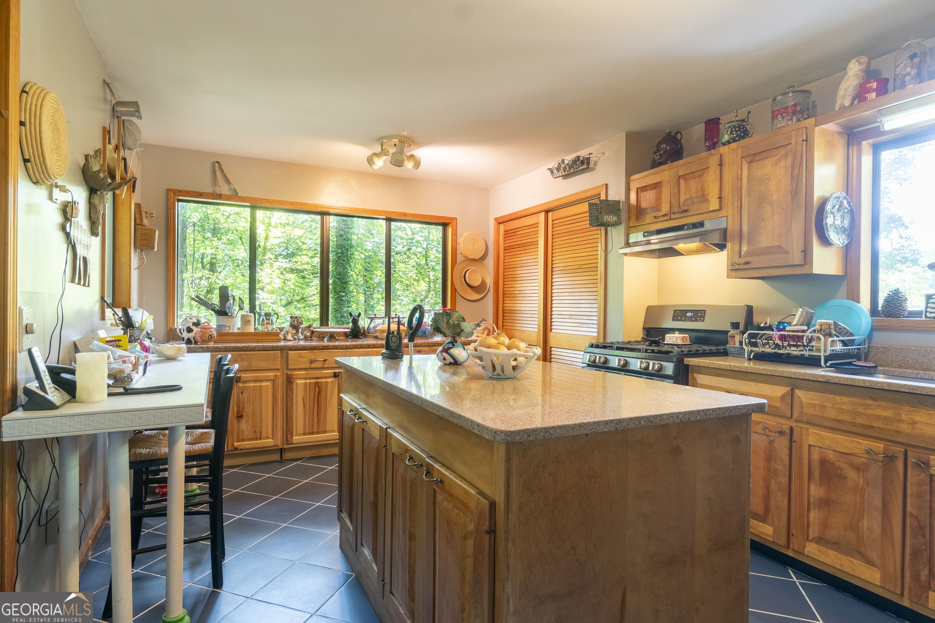 7869 Highway 75 Alt Helen GA 30545