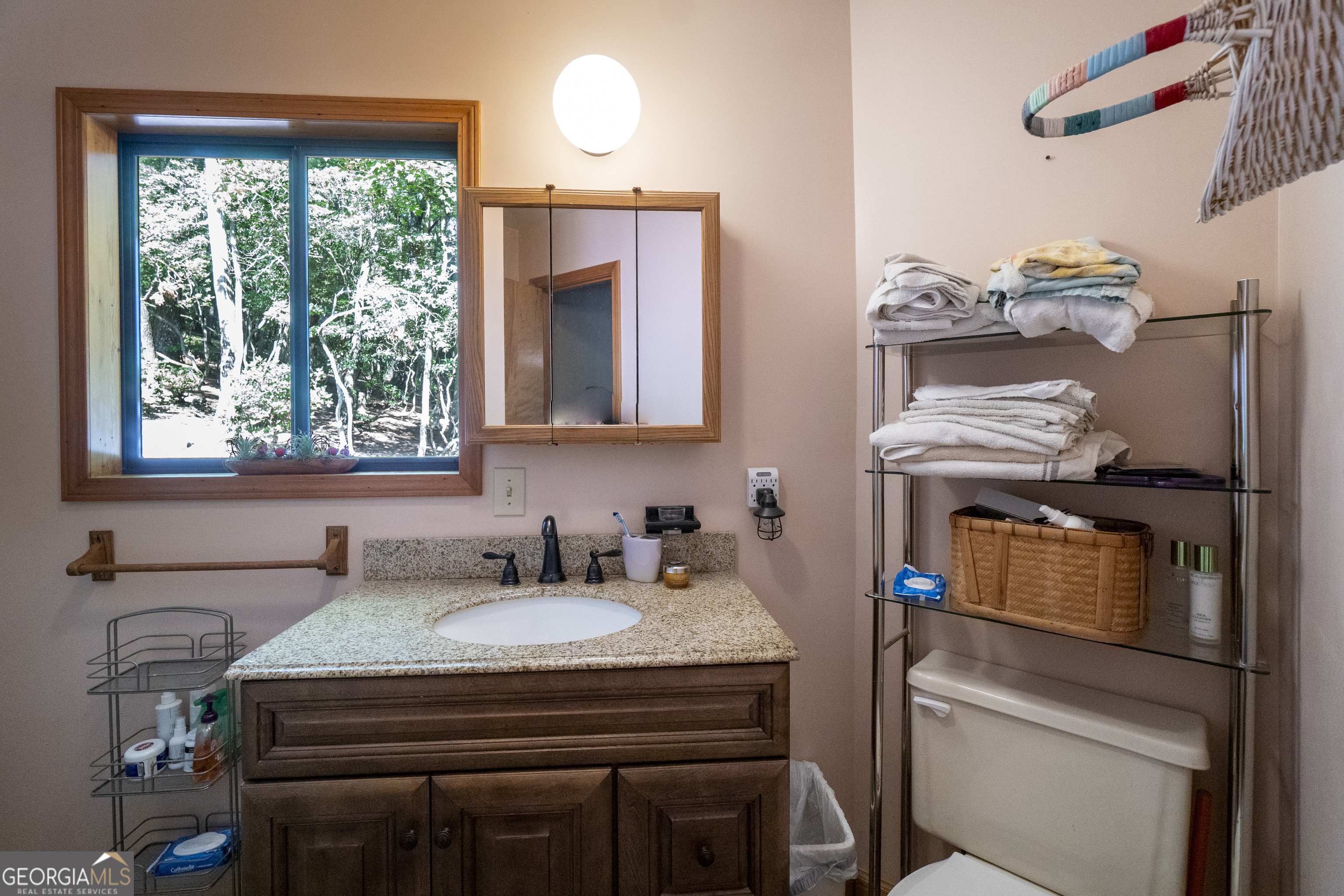 7869 Highway 75 Alt Helen GA 30545