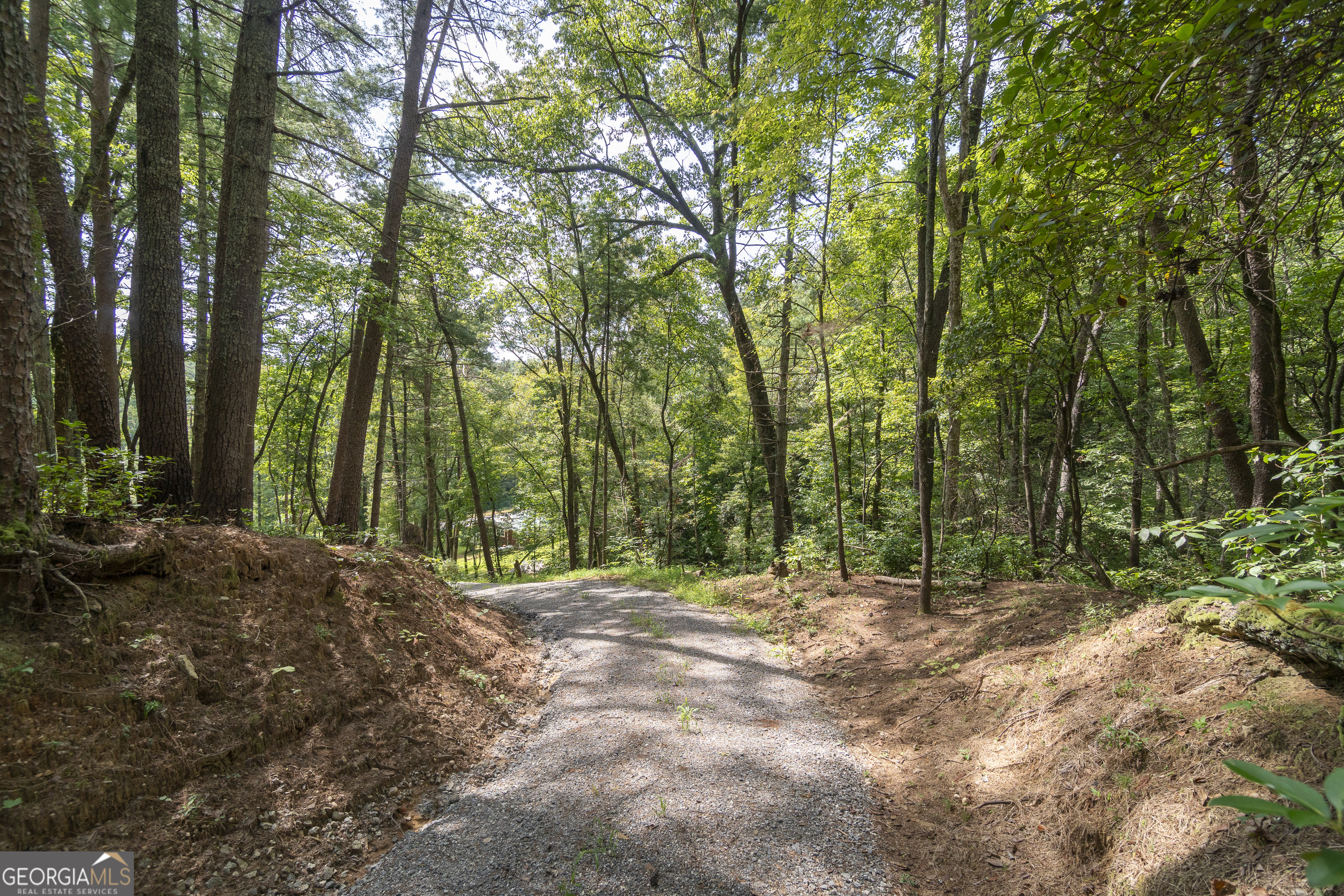7869 Highway 75 Alt Helen GA 30545
