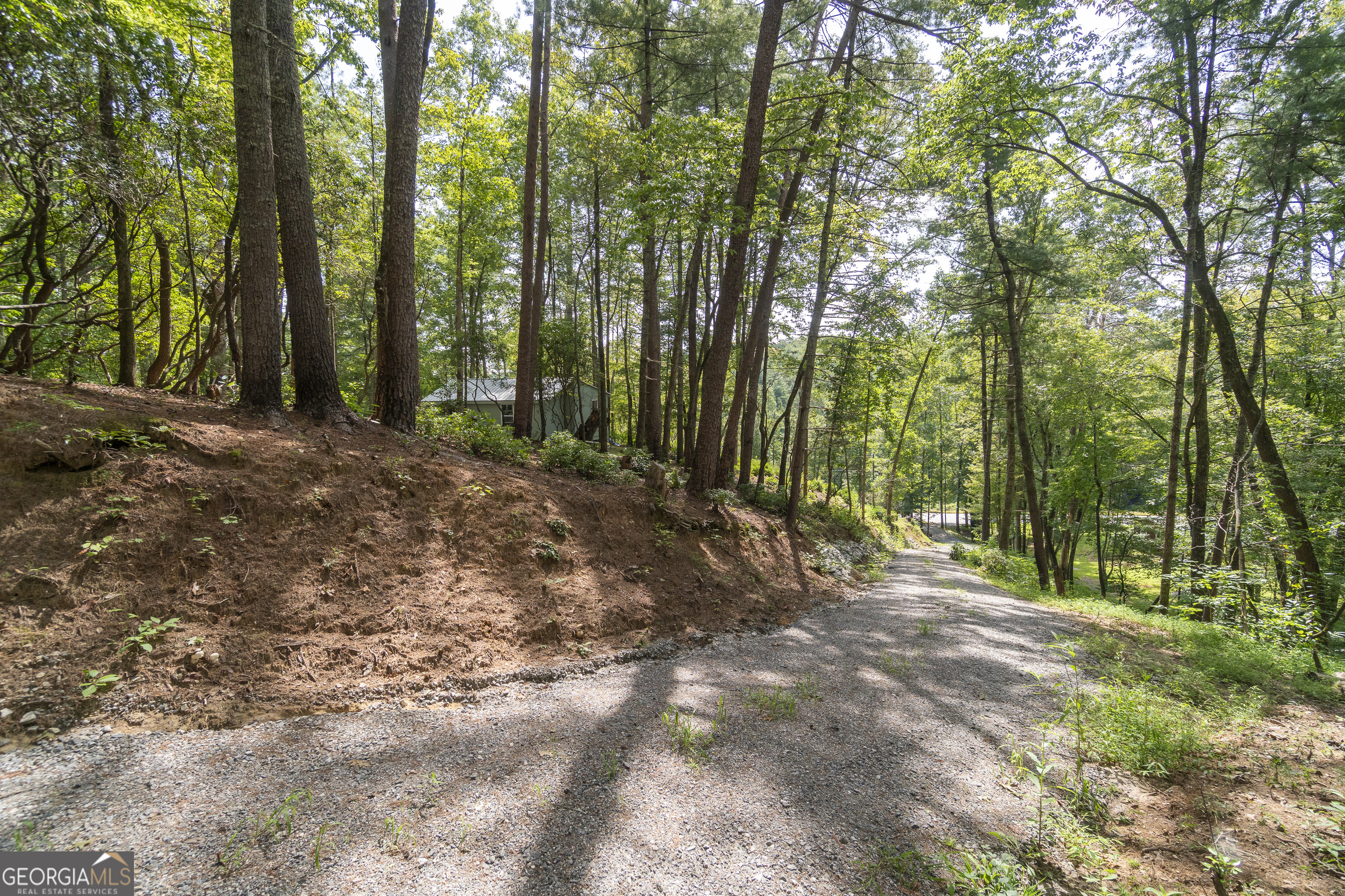 7869 Highway 75 Alt Helen GA 30545