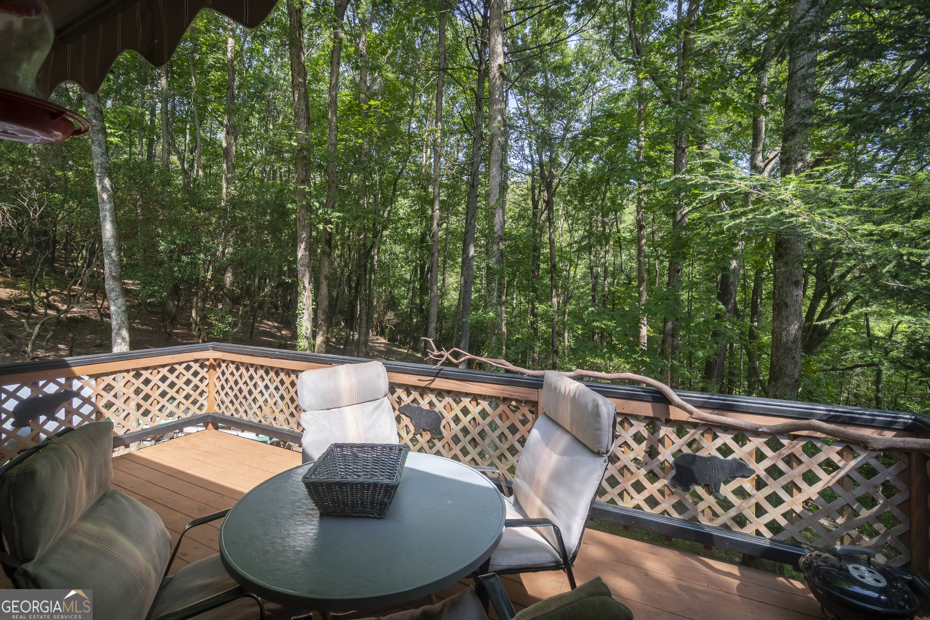 7869 Highway 75 Alt Helen GA 30545