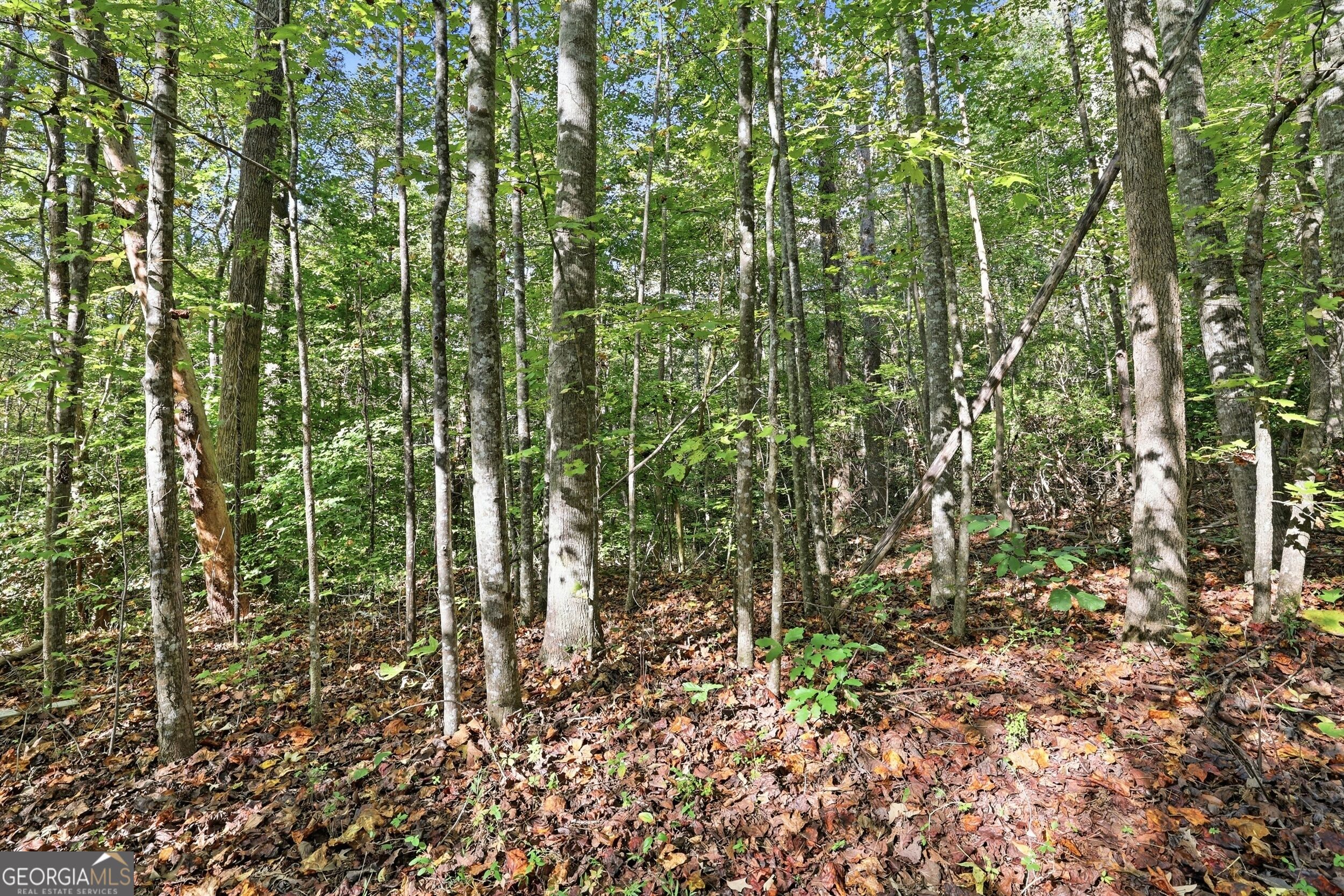 288 Sanctuary Drive Toccoa GA 30577