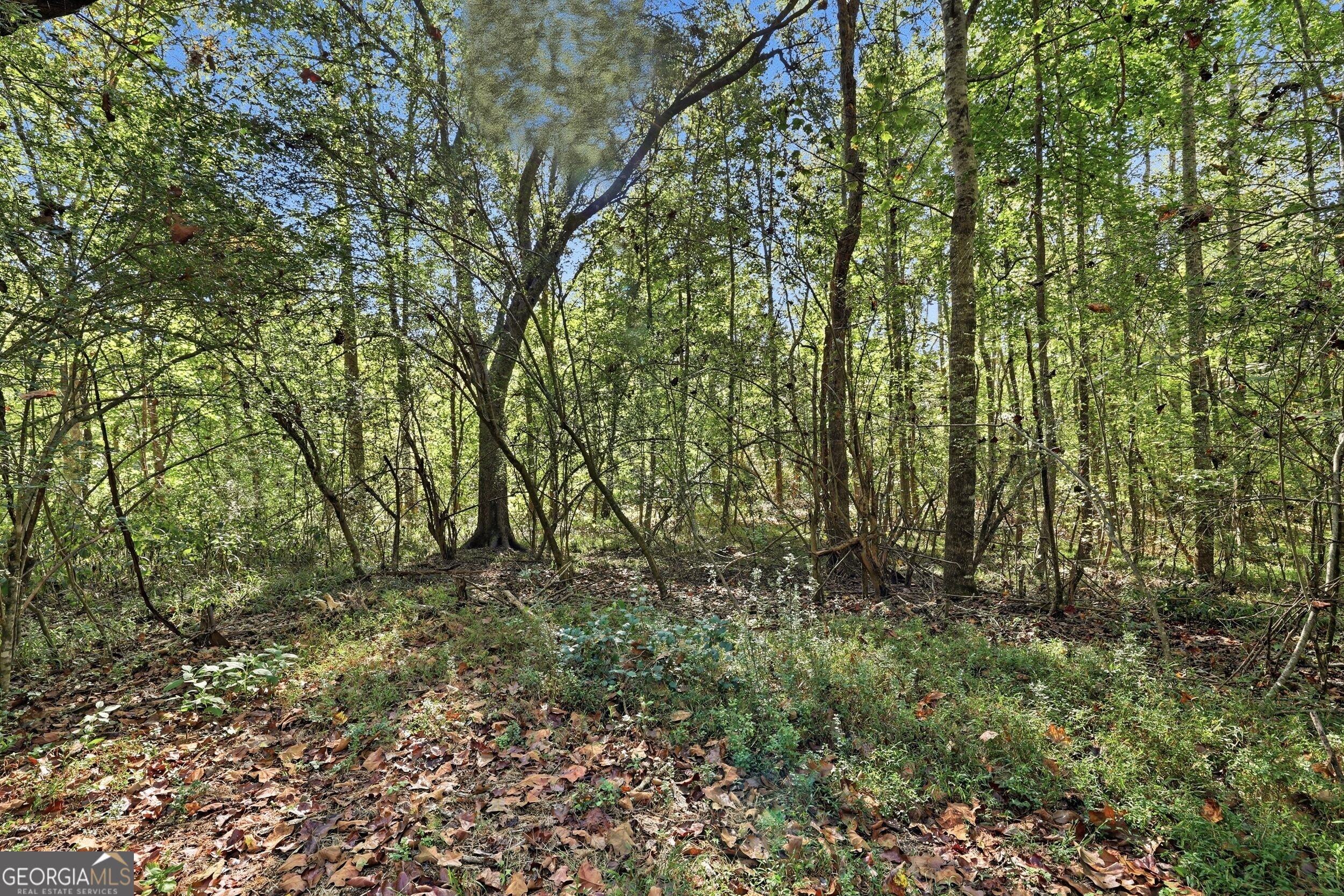 288 Sanctuary Drive Toccoa GA 30577