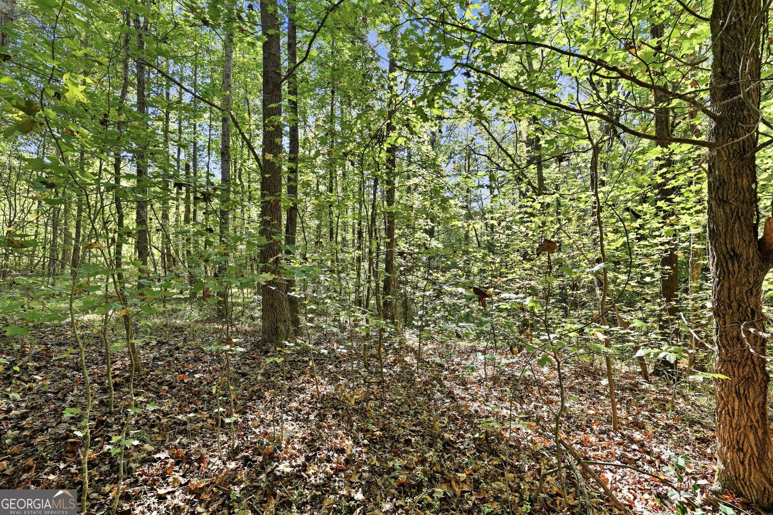 288 Sanctuary Drive Toccoa GA 30577