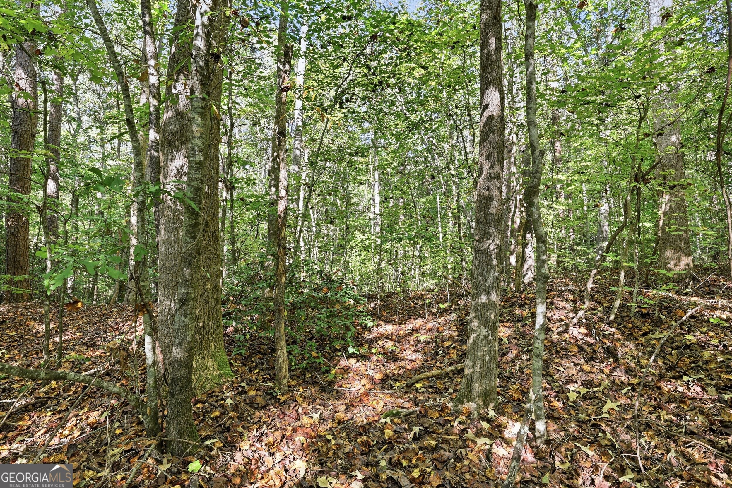 288 Sanctuary Drive Toccoa GA 30577