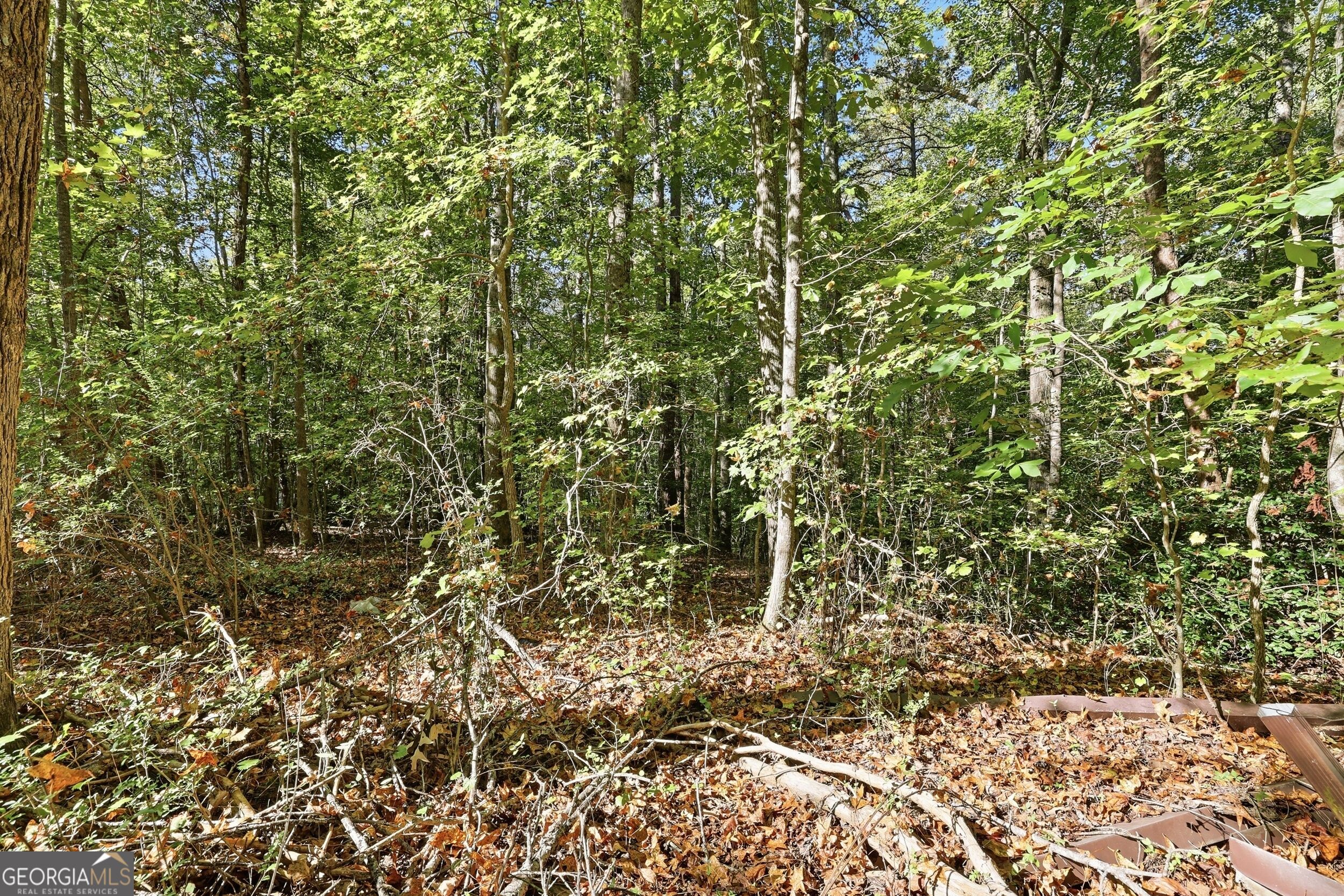 288 Sanctuary Drive Toccoa GA 30577