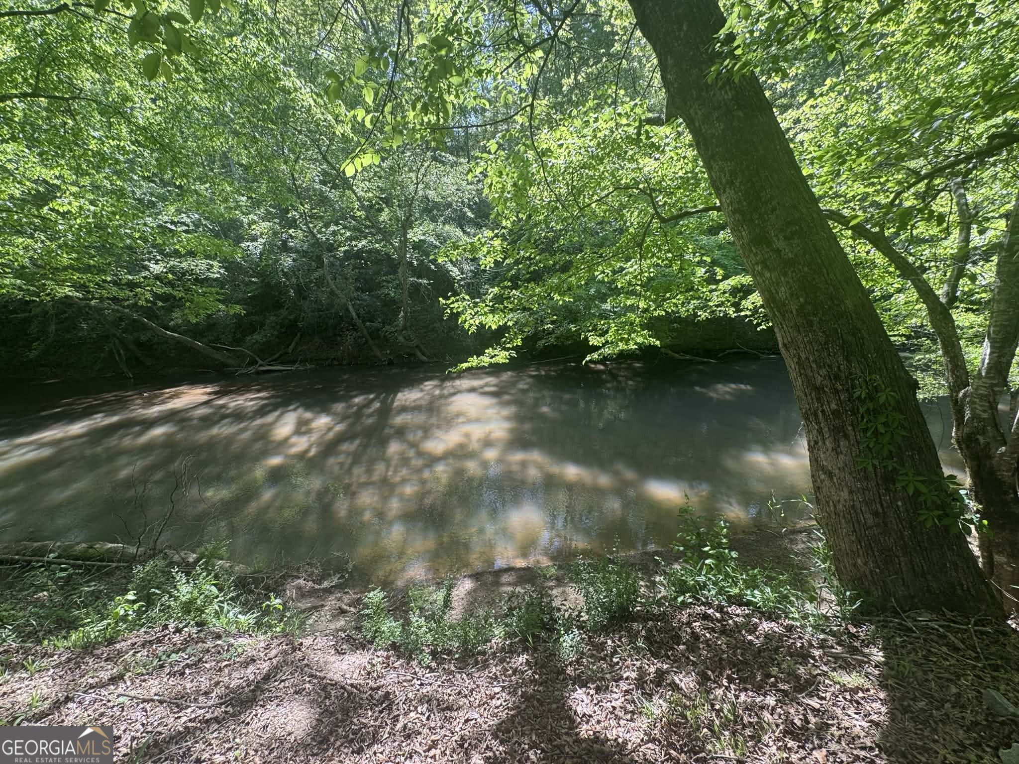 597 Meadow Brook Lane Royston GA 30662