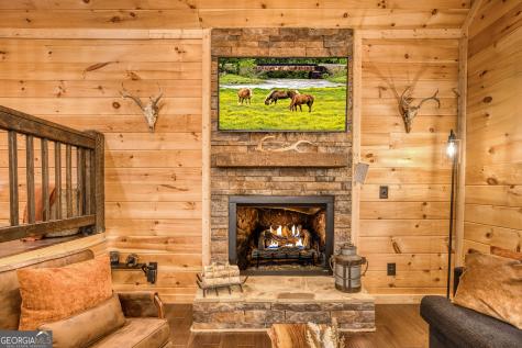 138 Nectar Lane Ellijay GA 30540