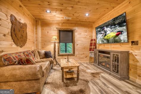 138 Nectar Lane Ellijay GA 30540