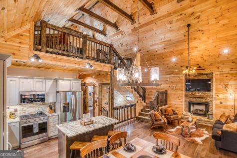 138 Nectar Lane Ellijay GA 30540