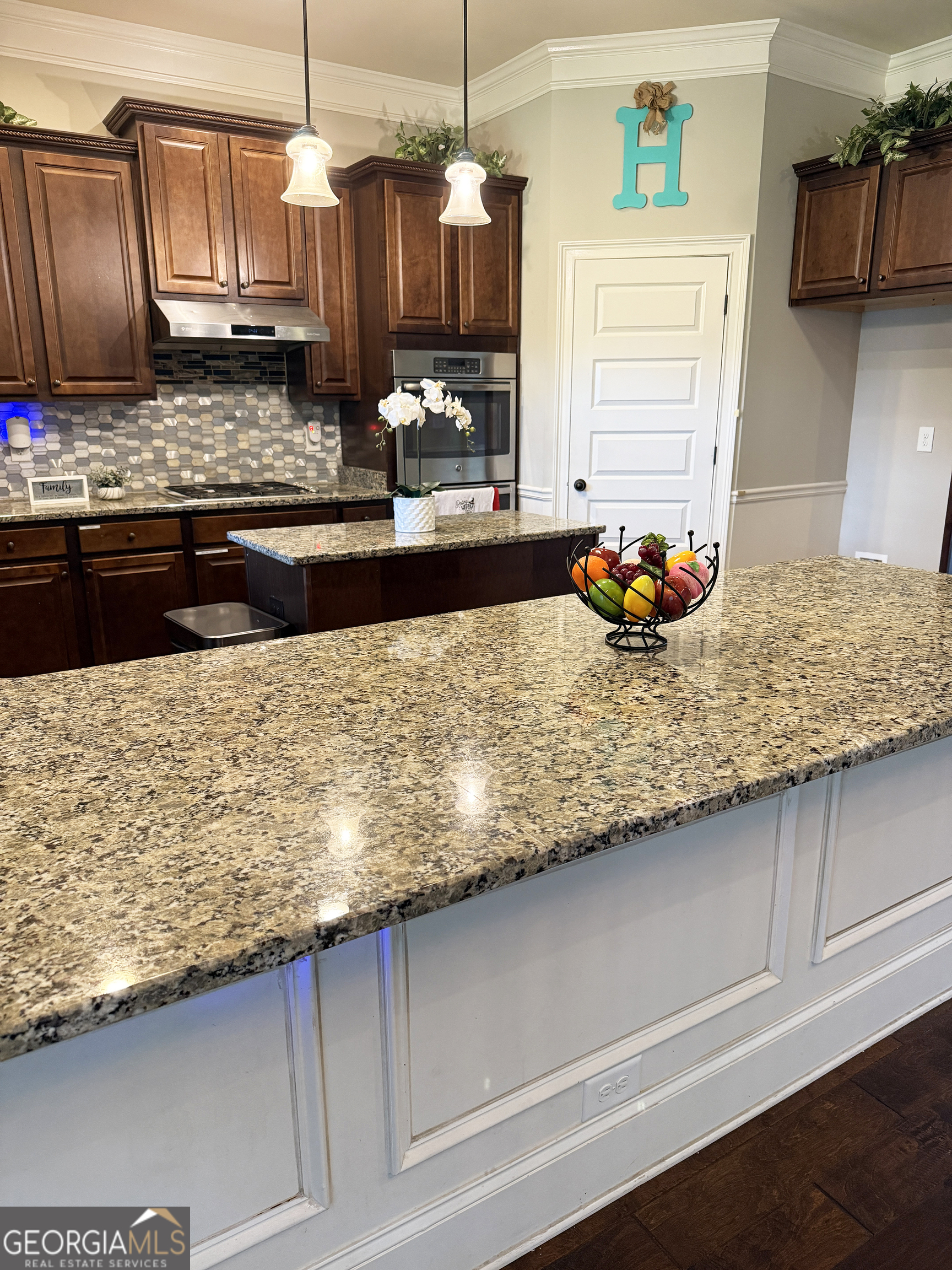 1869 Schofield Drive Hampton GA 30228