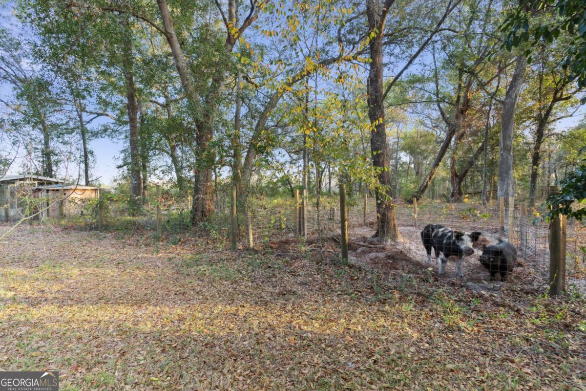 255 Spell Landing Road Hortense GA 31543