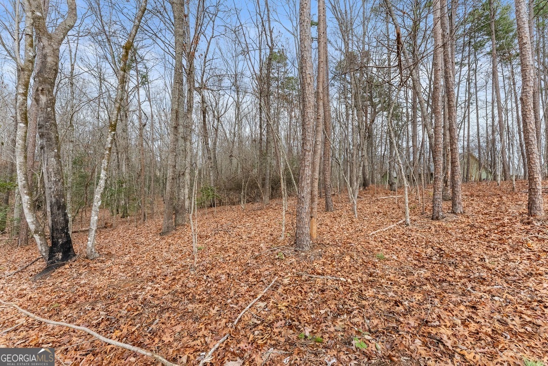 206 Shoals Way Clarkesville GA 30523