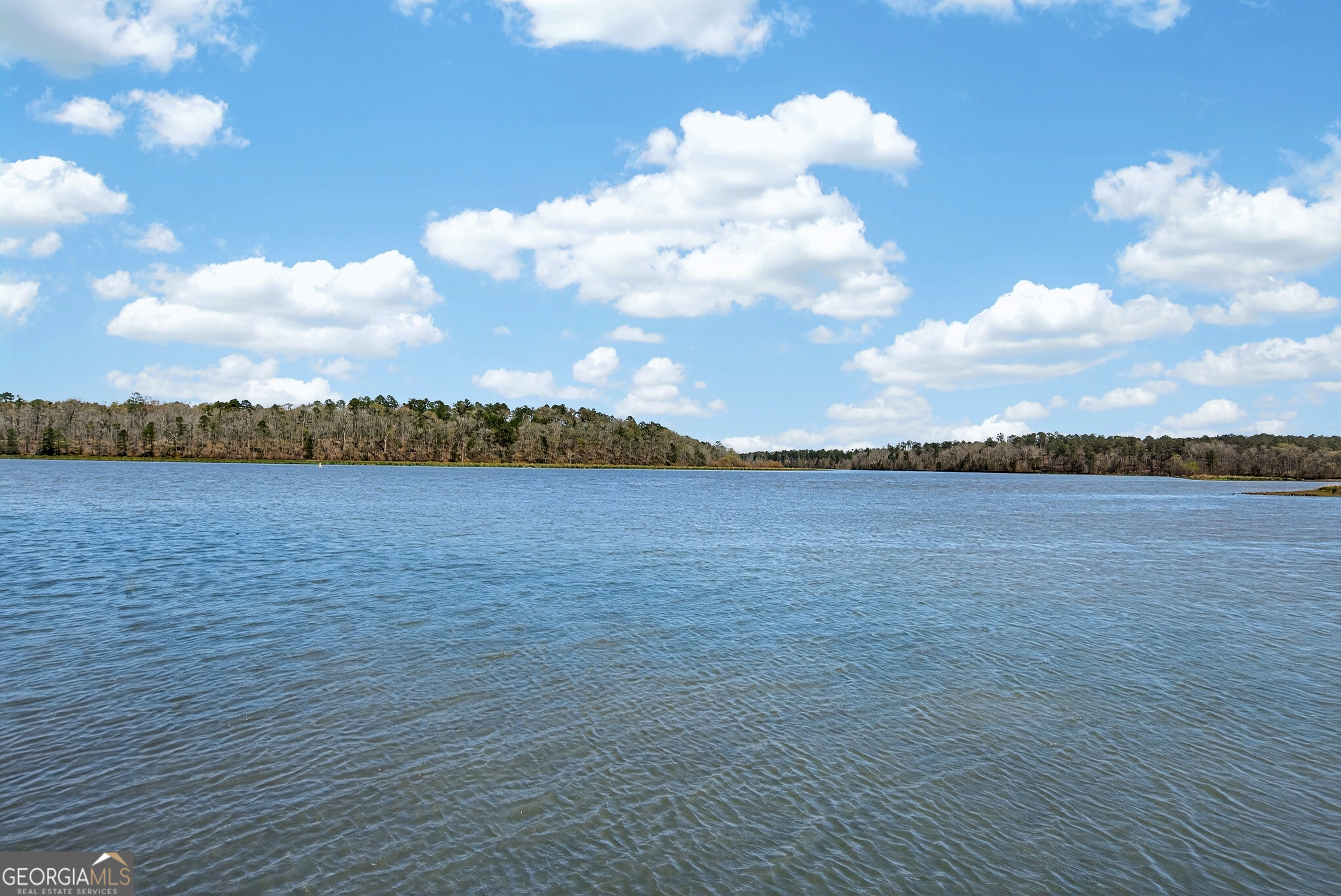4 Grayson Point Hogansville GA 30230