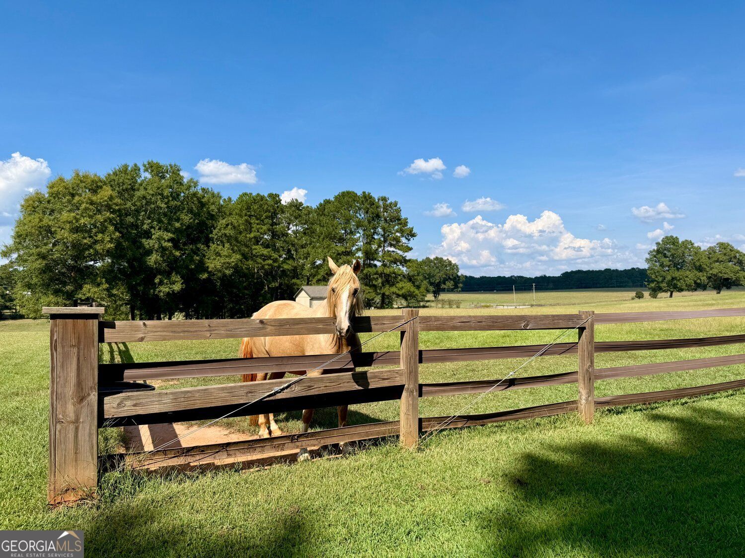 2655 Turner Road Williamson GA 30292