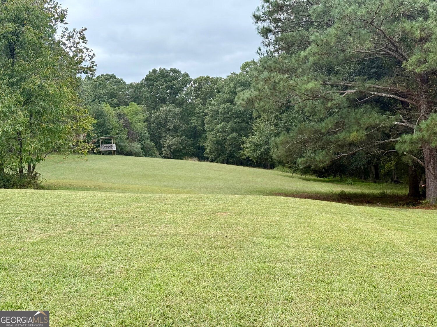 2655 Turner Road Williamson GA 30292