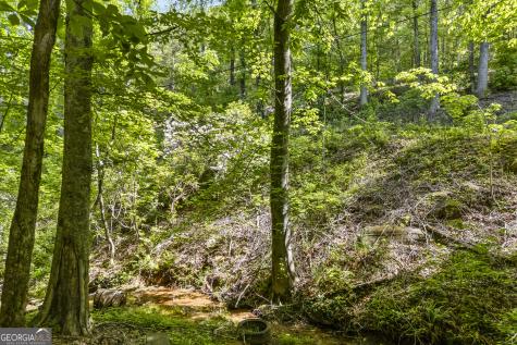 14 Gove Road Sautee Nacoochee GA 30571