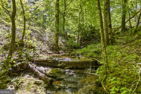 14 Gove Road Sautee Nacoochee GA 30571