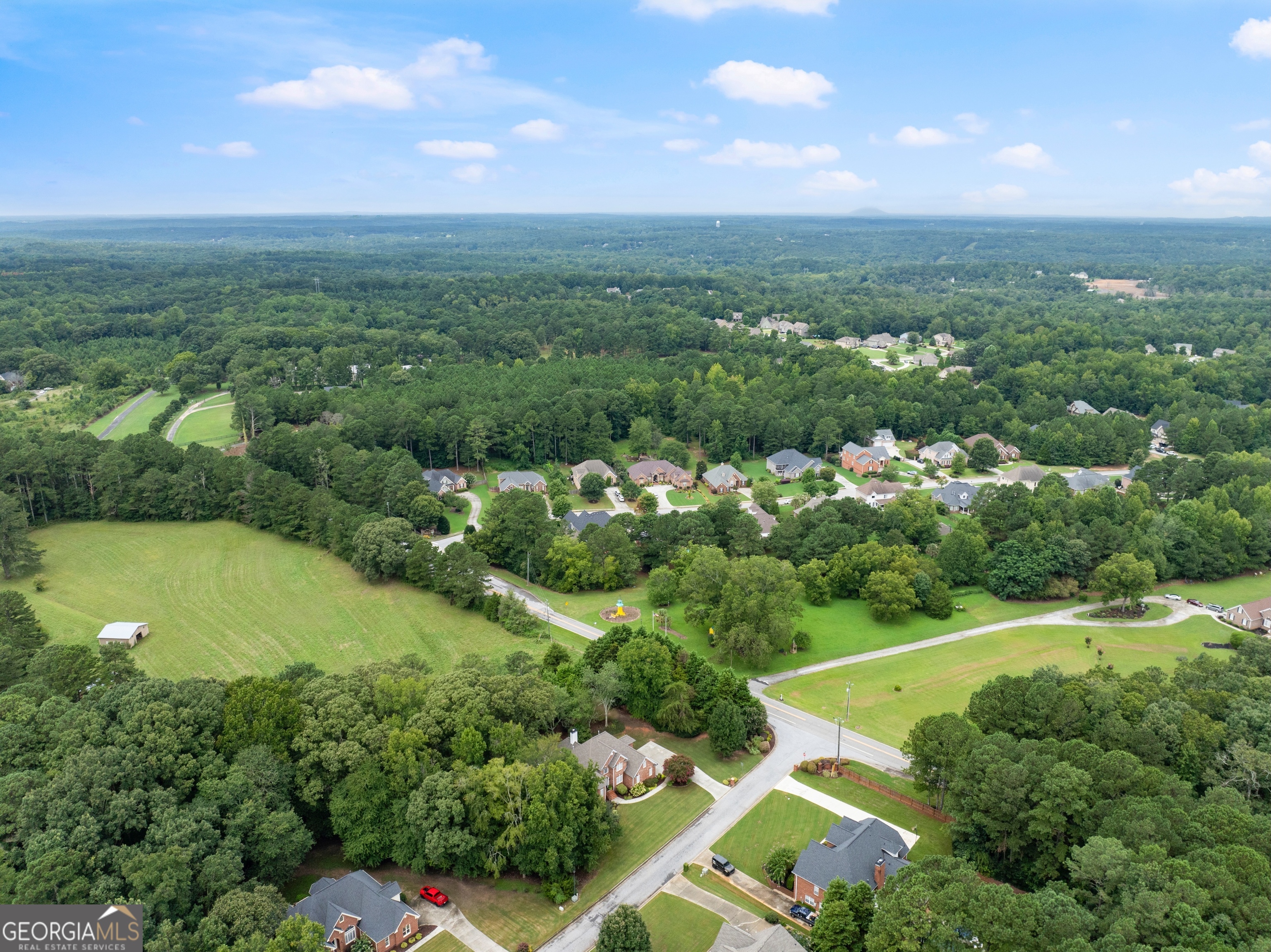 1503 Cleveland Court Loganville GA 30052