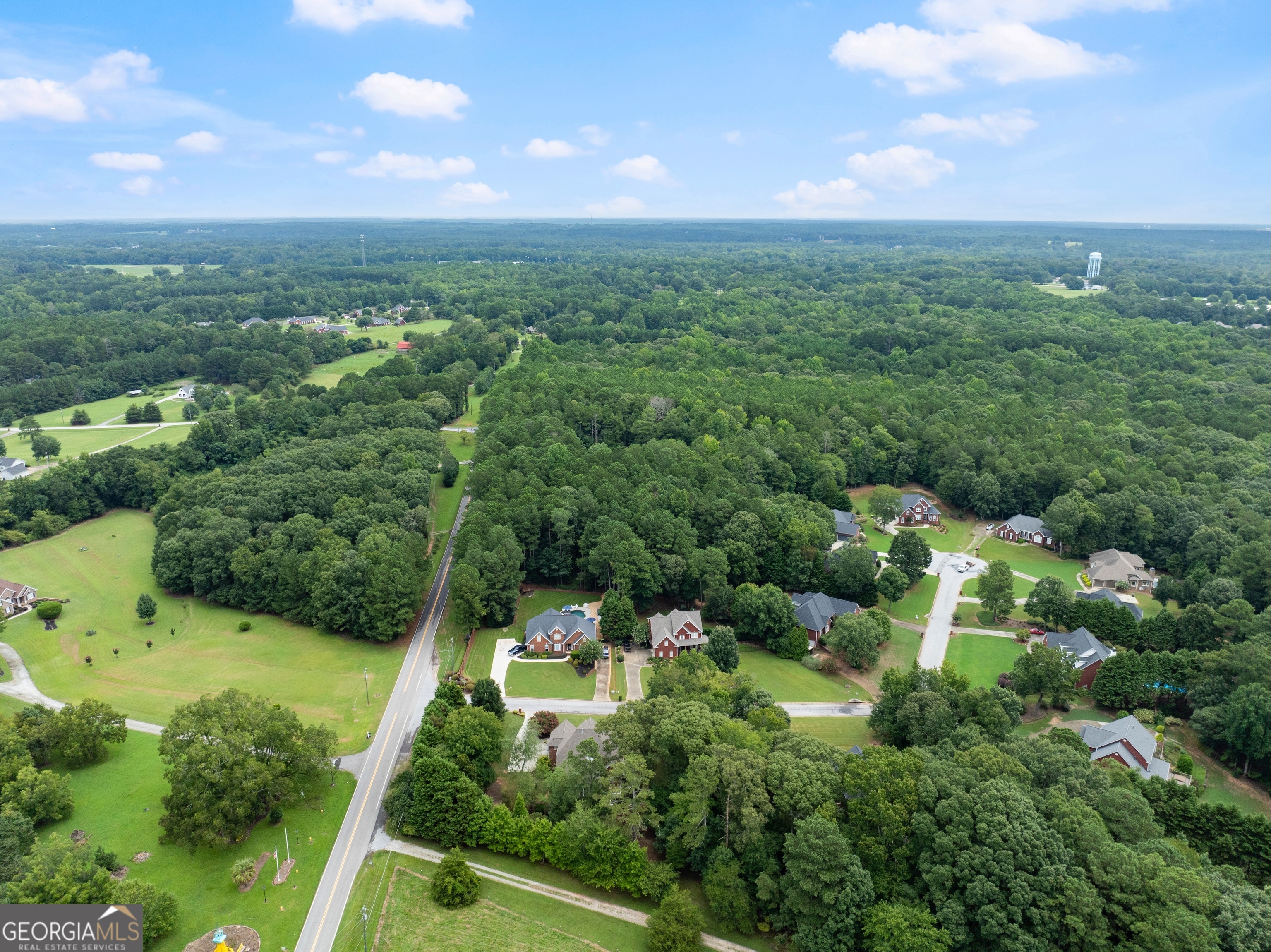 1503 Cleveland Court Loganville GA 30052