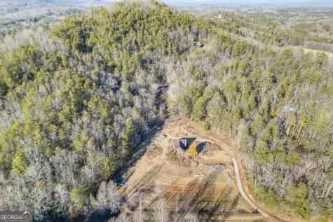 1454 Ritchie Creek Road Blue Ridge GA 30513