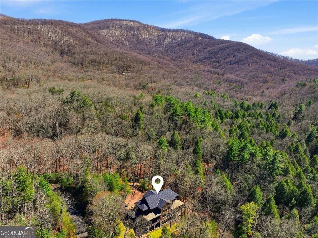 124 Wilderness Way Ellijay GA 30536