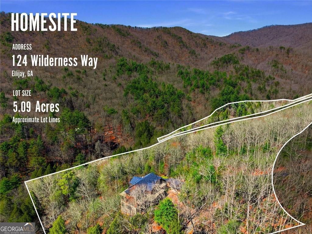 124 Wilderness Way Ellijay GA 30536