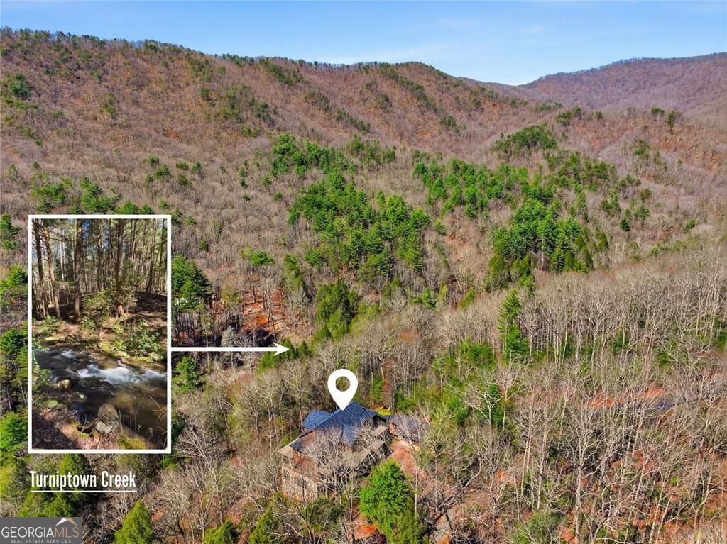 124 Wilderness Way Ellijay GA 30536