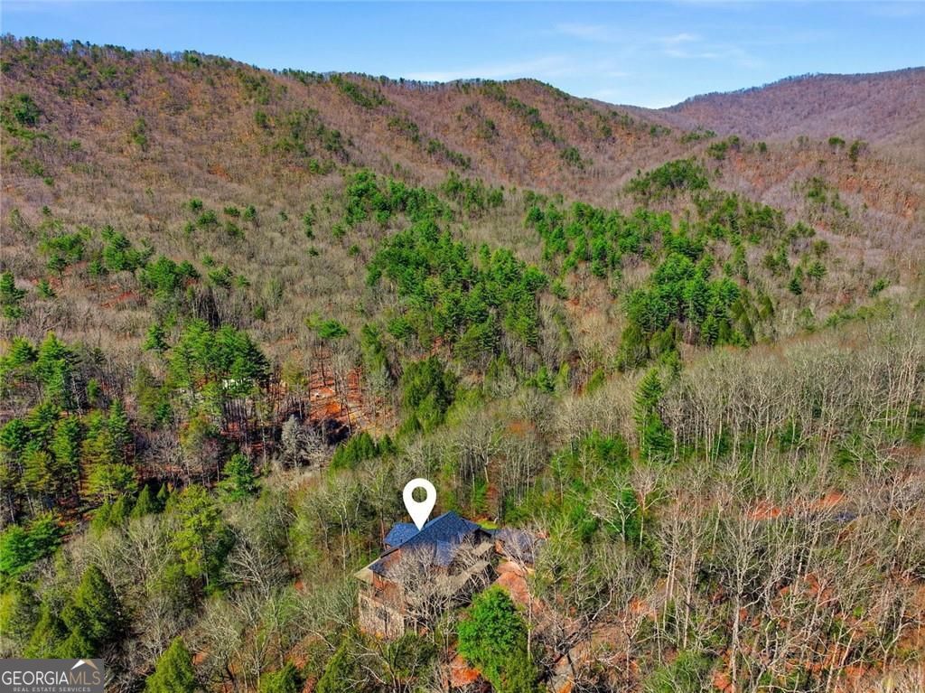 124 Wilderness Way Ellijay GA 30536