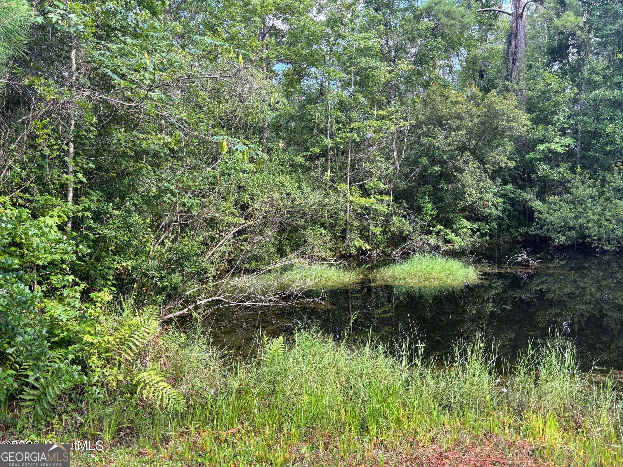 114 Ritch Drive Brunswick GA 31525