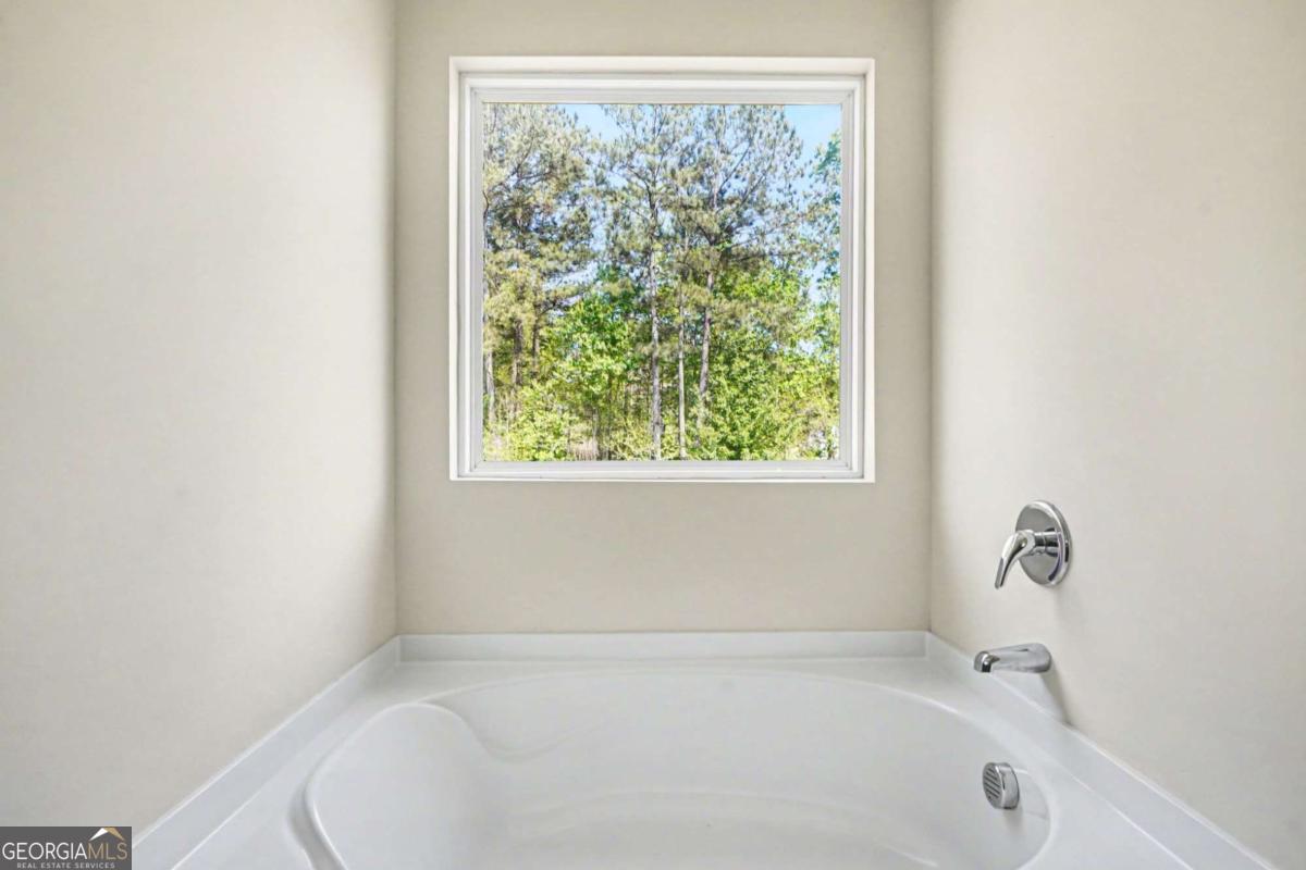 1160 Pebble Ridge Drive Hampton GA 30228