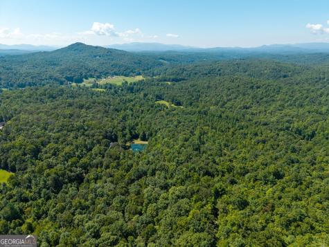 505 Old Salem Road Mineral Bluff GA 30559