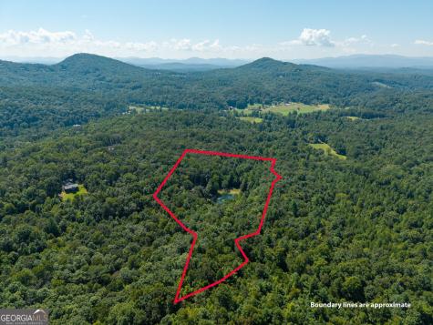 505 Old Salem Road Mineral Bluff GA 30559