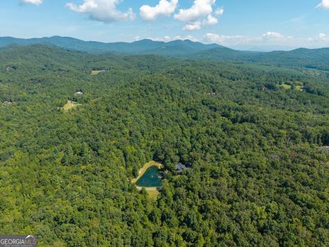 505 Old Salem Road Mineral Bluff GA 30559