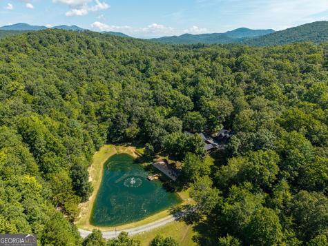 505 Old Salem Road Mineral Bluff GA 30559