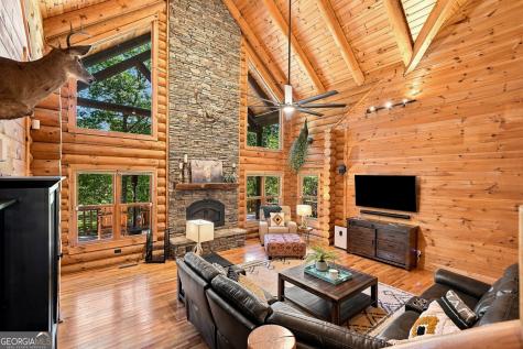 505 Old Salem Road Mineral Bluff GA 30559
