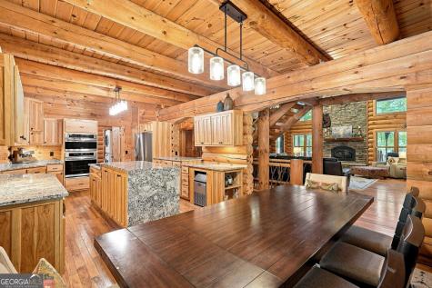 505 Old Salem Road Mineral Bluff GA 30559